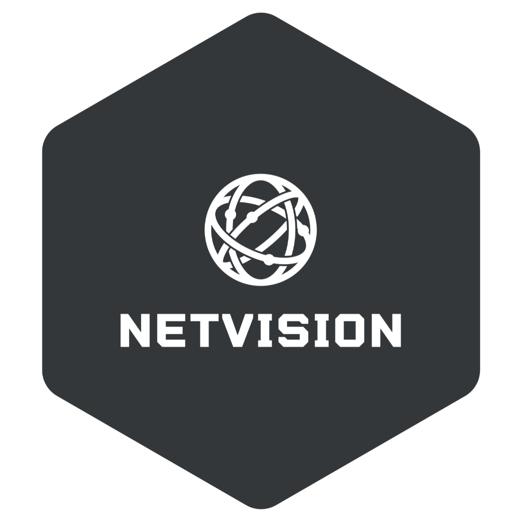 NetVision Logo